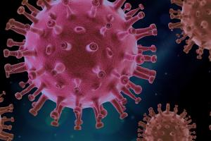 Image of a COVID-19 virus.